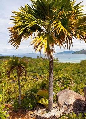 Praslin Island
