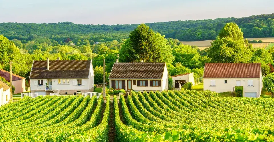 Countryside and Wine Tasting Group Tour