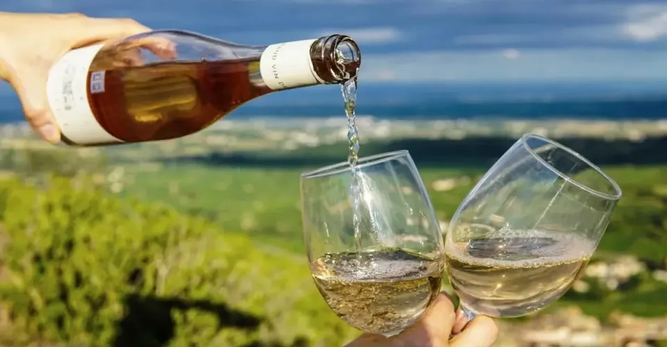 Countryside and Wine Tasting Group Tour