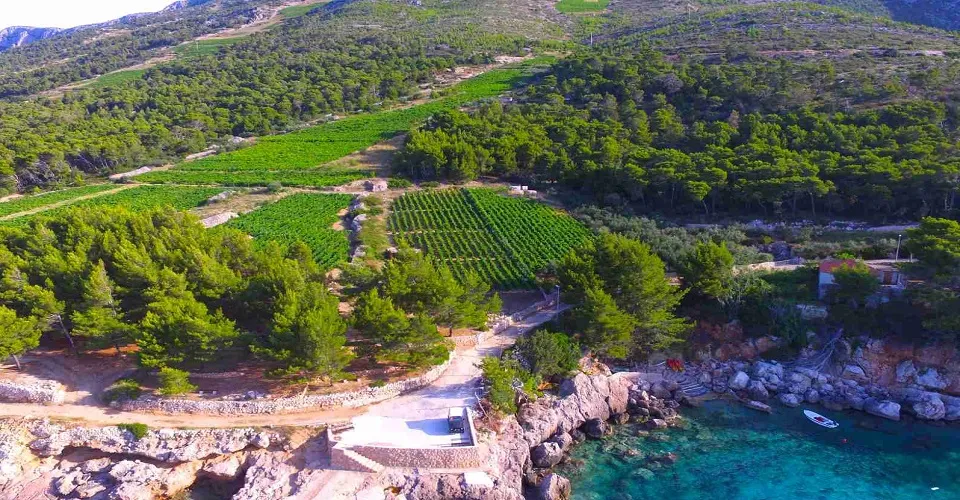HALF DAY HVAR ISLAND TOUR WITH WINE TASTING