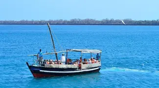 Kisite Marine Park and Wasini Island Group Tour