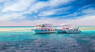 Full Day Tour to Tiran Island by Boat