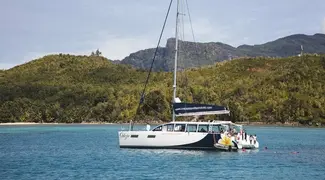 Full Day Starfish Tour