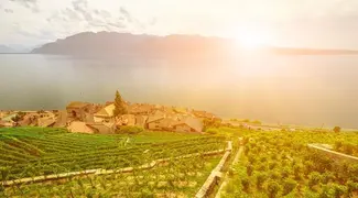 Countryside and Wine Tasting Group Tour from Cannes