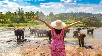Pinnawala Elephant Orphanage Tour