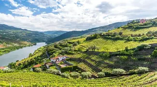 Full Day Douro Wine Tour