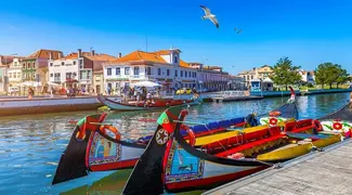 Half Day Aveiro Tour
