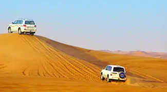 Half Day Desert Safari