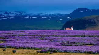Visit To Cyherbia Lavanda Park