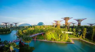 City Tour with Gardens By The Bay