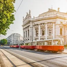Vienna City Private Tour