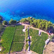 Half Day Hvar Island Tour With Wine Tasting