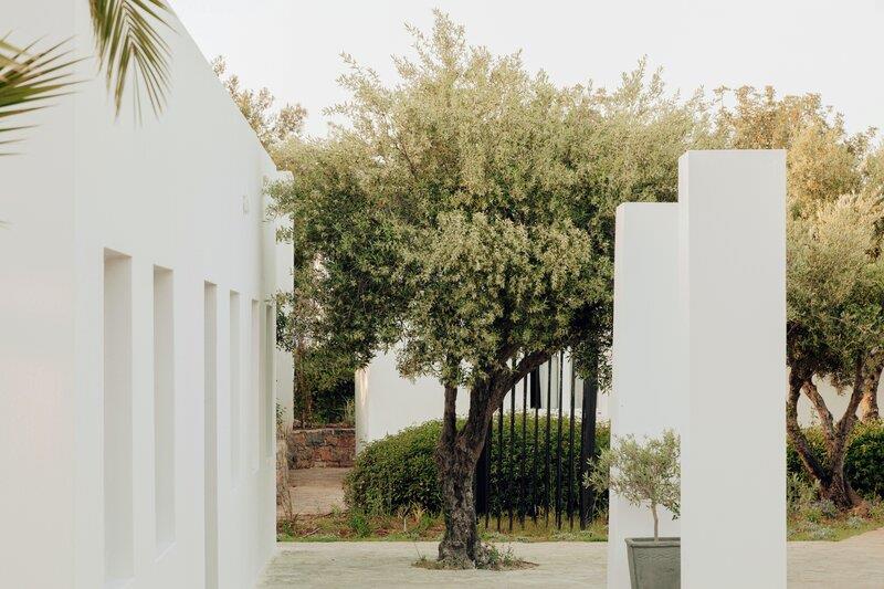 Minos Beach Art Hotel