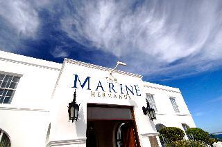 The Marine