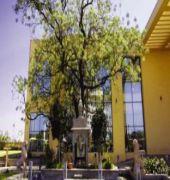 St Laurn-The Spiritual Resort