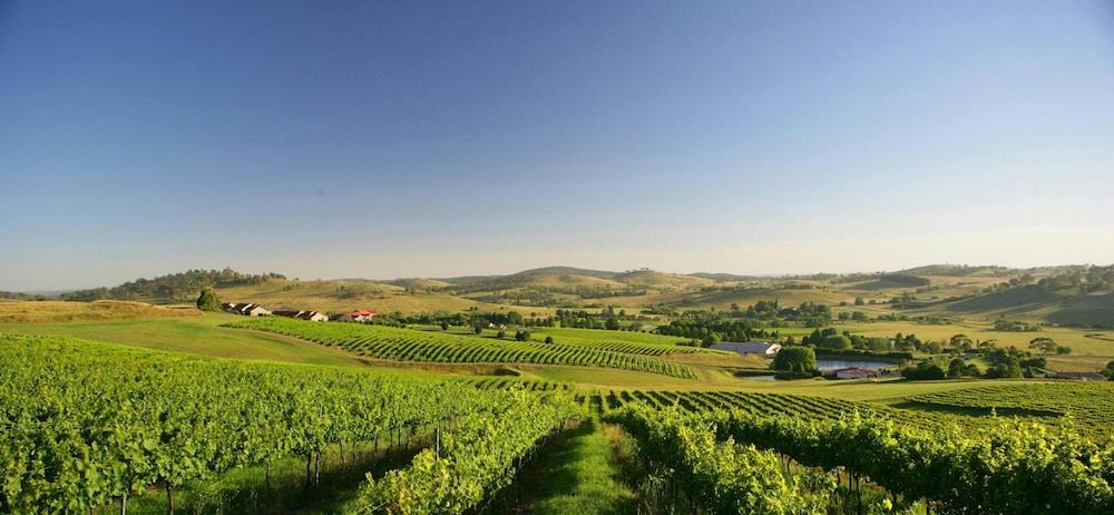 Turners Vineyard Motel Function And Convention Centre