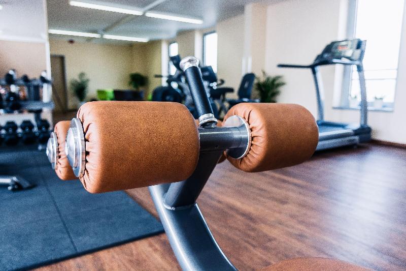 Holiday Inn Budapest - Budaors