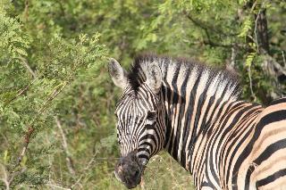 aha Bongani Mountain Lodge