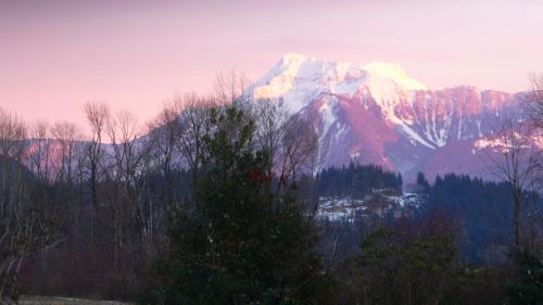Harrison Hammond House Bed And Breakfast