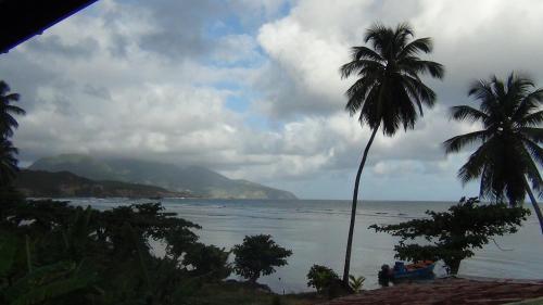 Nixon's Bayside Mangrove Inn Villa