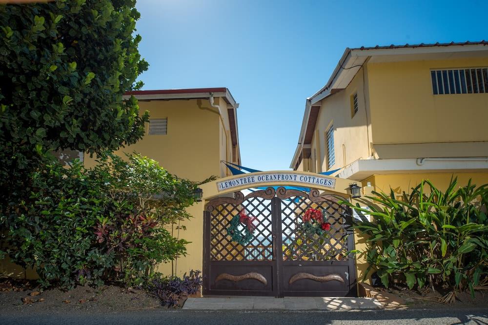 Lemontree Oceanfront Cottages