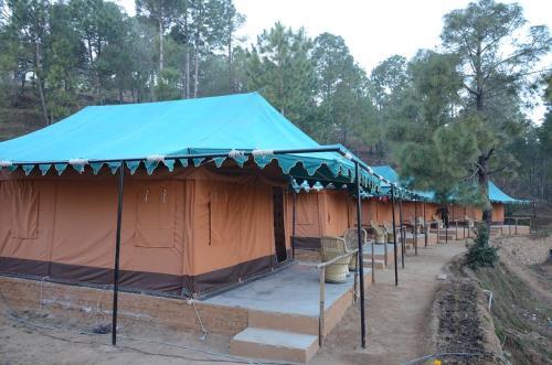 Bay Berry By One Earth