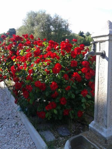 Bed And Breakfast Monticelli