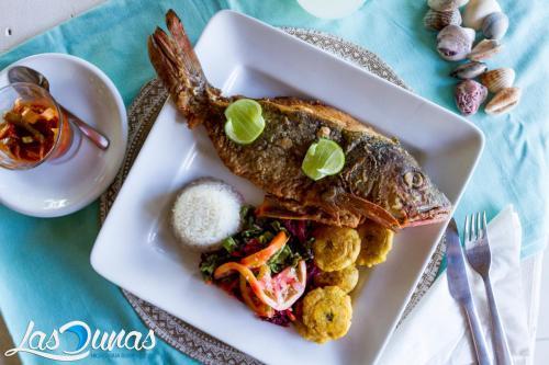 Las Dunas Surf Resort - Hostel