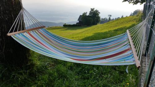 Turizem Pr Ambruzarju