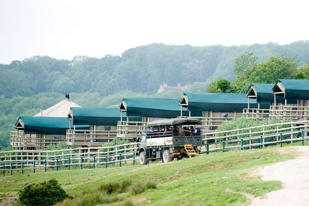 Port Lympne Reserve Port Lympne Hotel