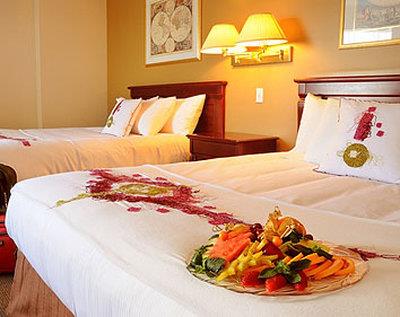 Hotel Universel Alma