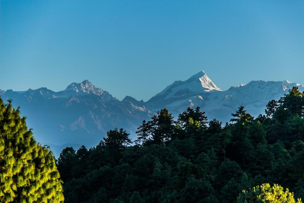 Everest Window View Hotel