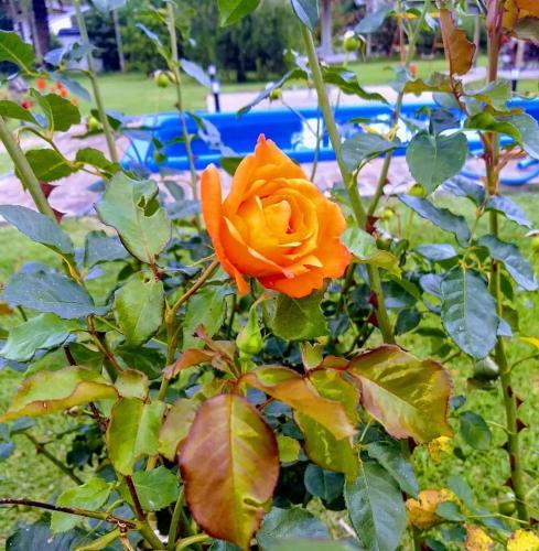 Hospedaje Quinta Pata