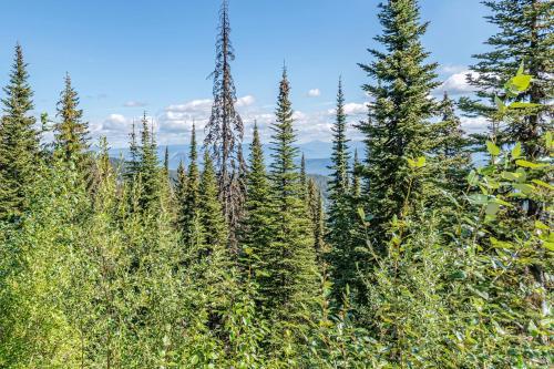 Grandview Heron View