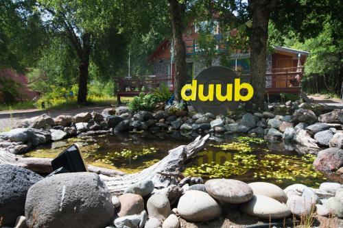 Duub