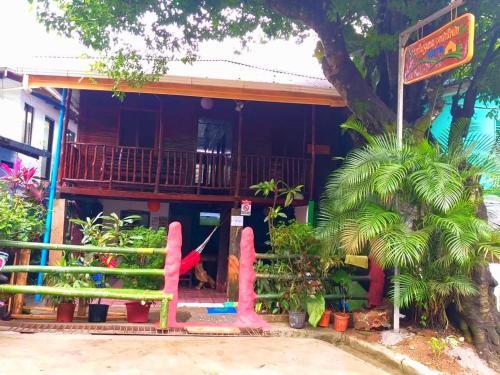 Downtown Montezuma Hostel