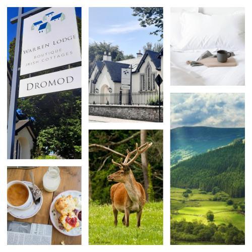 Warren Lodge Accommodation