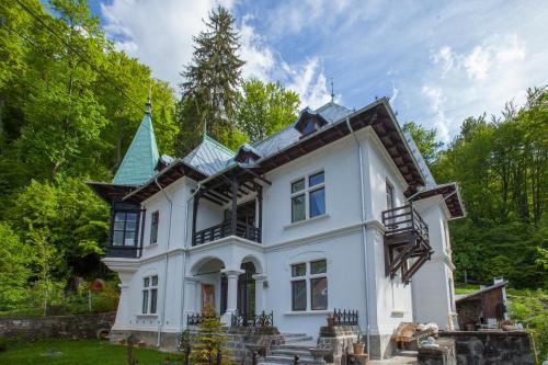 Il Piccolo Castello Busteni