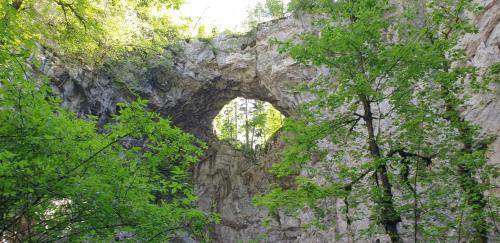 Lipizzaner Lodge Guest House