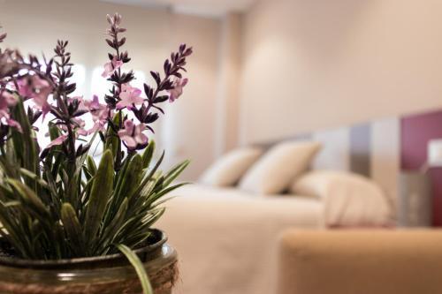 Estudios Dona Manuela