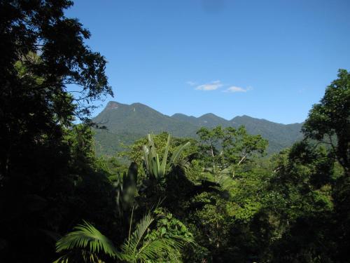 Mossman Gorge Bed And Breakfast