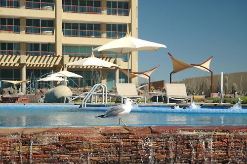 Encanto Living Penthouse By Kivoya