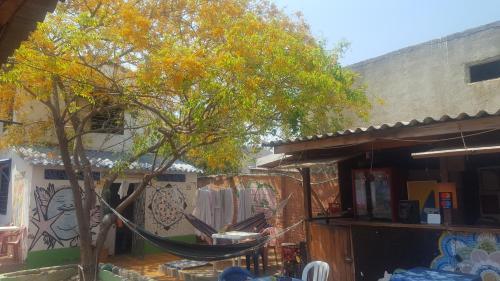 El Alquimista Hostel