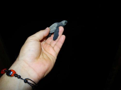 Posada Turistica Rocas De Cabo Marzo