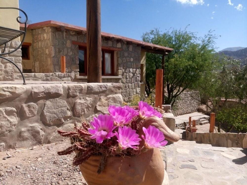 La Quinta De Maria Tilcara