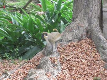 Dover Woods Guest House