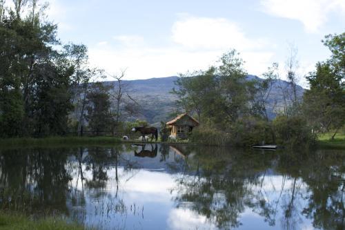 Hotel Raquira Silvestre Lodge