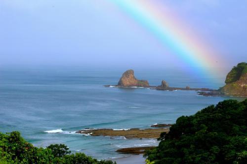 Arte Sano Hotel Cafe