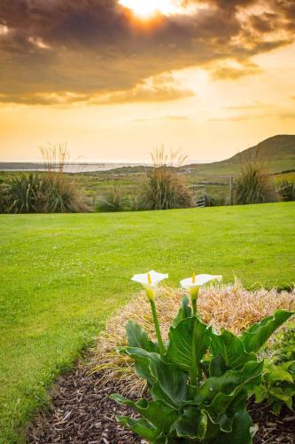 Ocean View Apartment