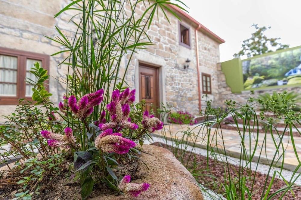 Alojamiento O Caminante